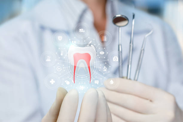 Best Full Mouth Reconstruction  in Westwego, LA